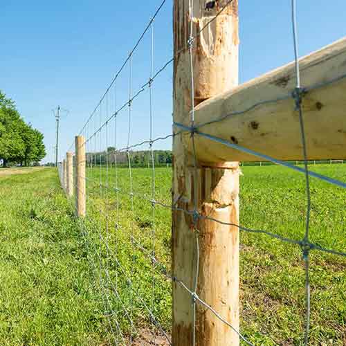 Hot Sale lowes farm fence livestock sheep wire mesh fence